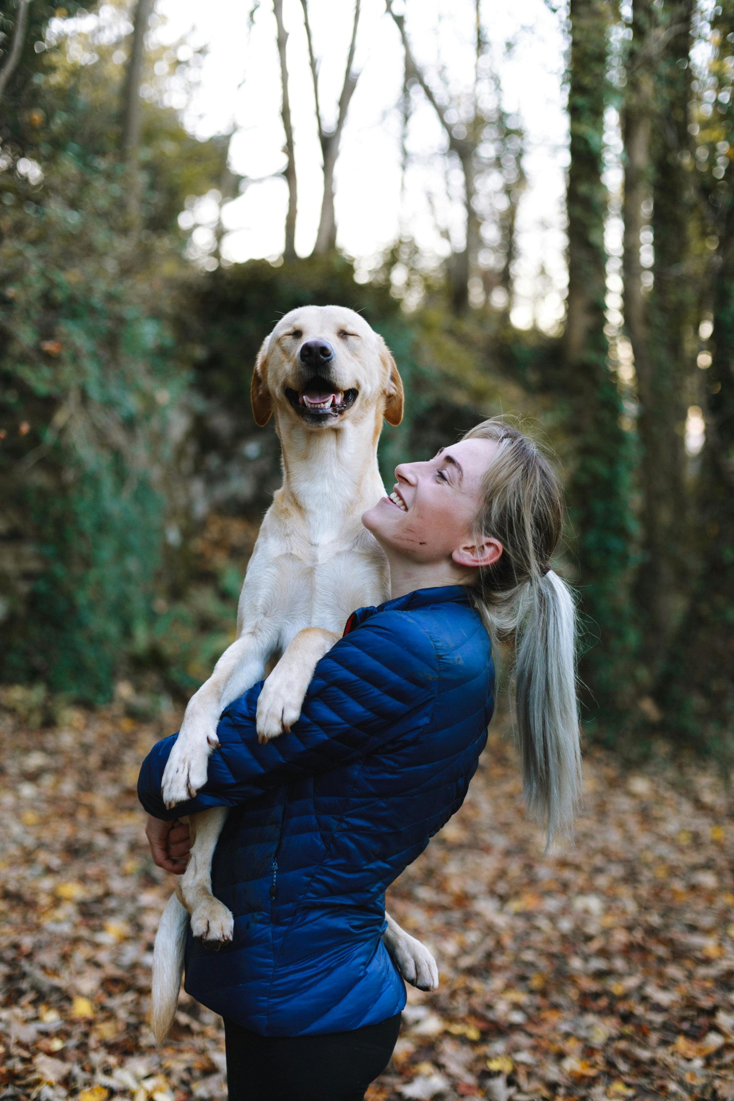 🐾 The Art of Pet Bonding: 7 Small Daily Habits That Build a Stronger Connection