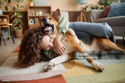 🌞 Start the Day With a Greeting: A Simple Ritual That Strengthens Your Bond With Your Pet