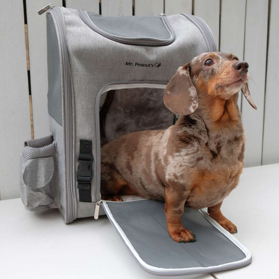 Pet Carrier and Travel Accessories