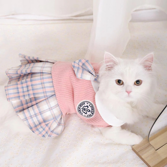 Pet Apparel & Accessories