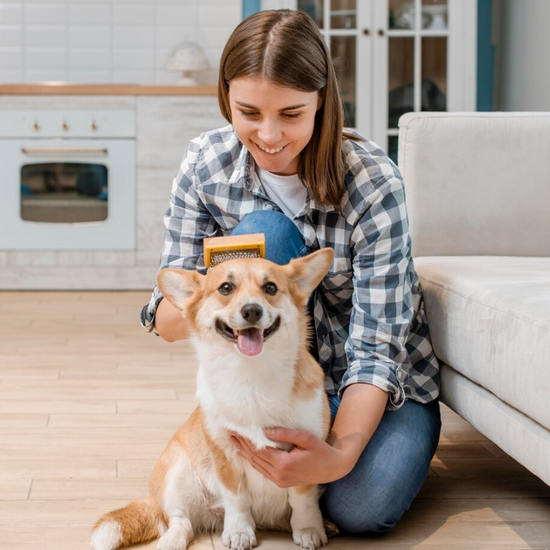 Pet Grooming Supplies