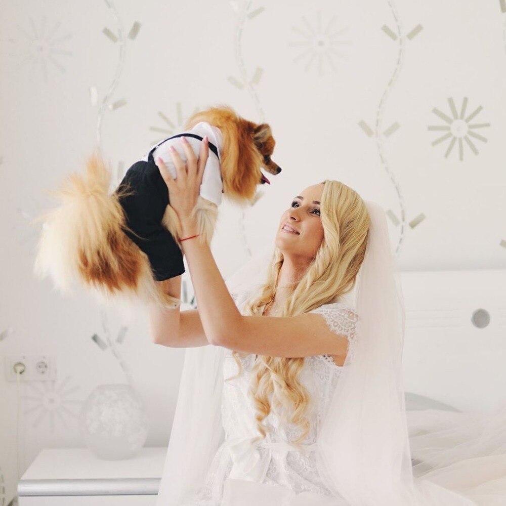 Handsome Stylish Pet Suit with Bow Tie