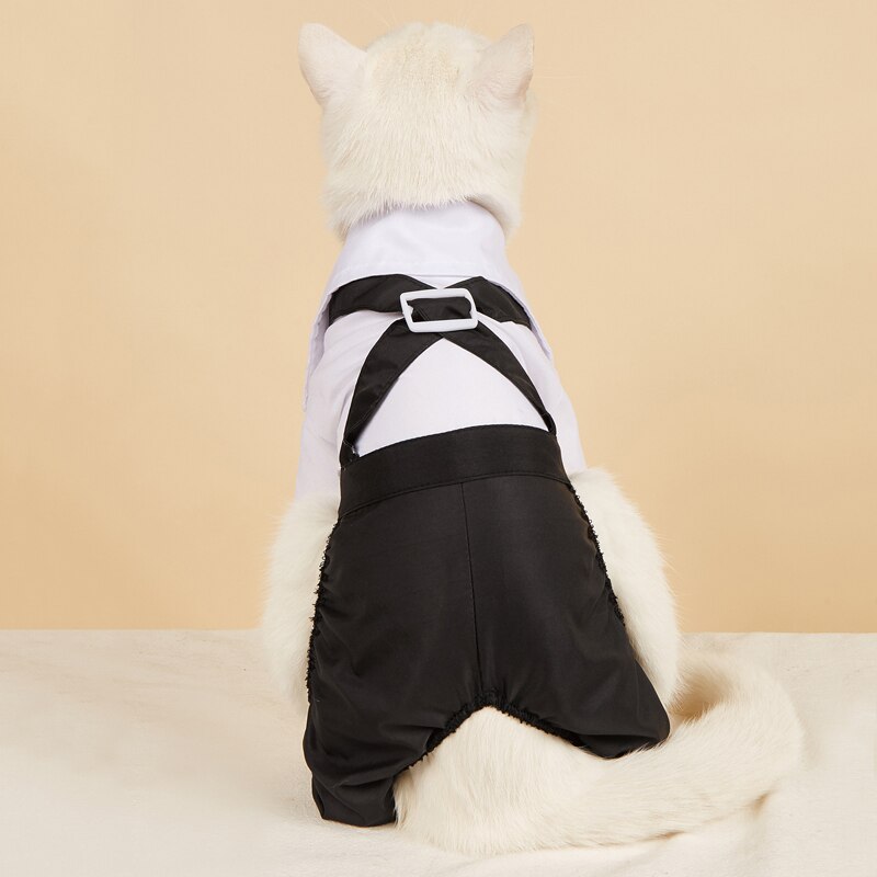 Handsome Stylish Pet Suit with Bow Tie