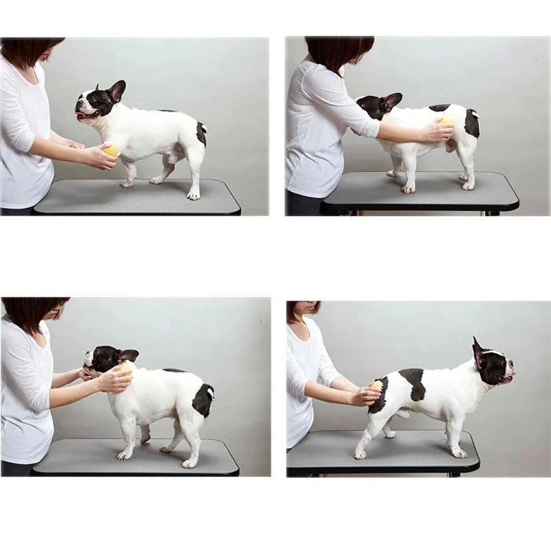 Pet Massage Brush with Soft Silicone Bristles – Dog & Cat Hair Removal Comb