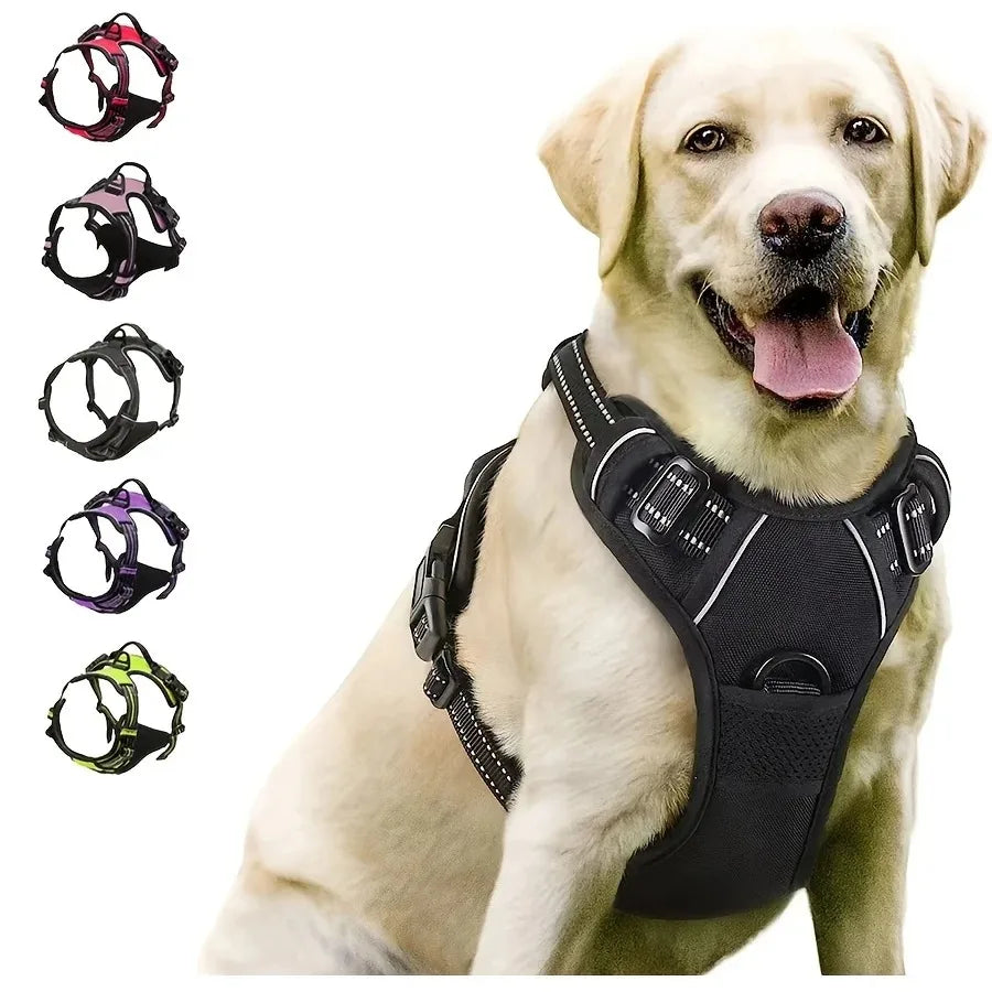 Dog Collar, Harness & Leash Set – Leather Puppy Accessories