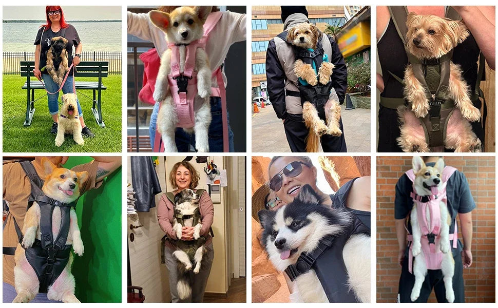 Thickened Sponge Pet Carrier Backpack