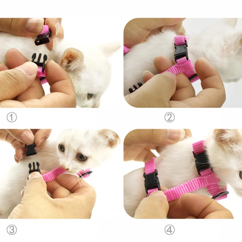 Adorable Angel Wings Harness Set – Stylish Leash and Vest for Cats, Rabbits, and Small Dogs