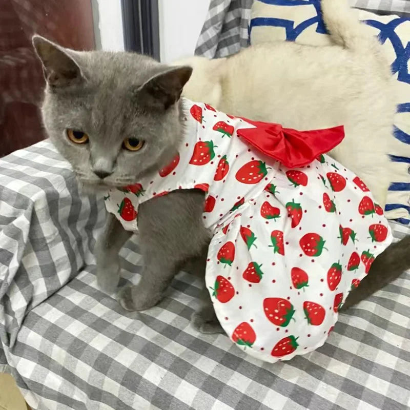 Fashion Cat & Puppy Dress with Bow – Small Dog & Cat Clothing