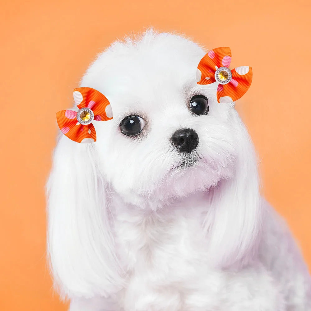 20PCS Dog Hair Bows with Diamond – Colorful Pet Grooming Accessories with Rubber Bands for Small Dogs & Puppies