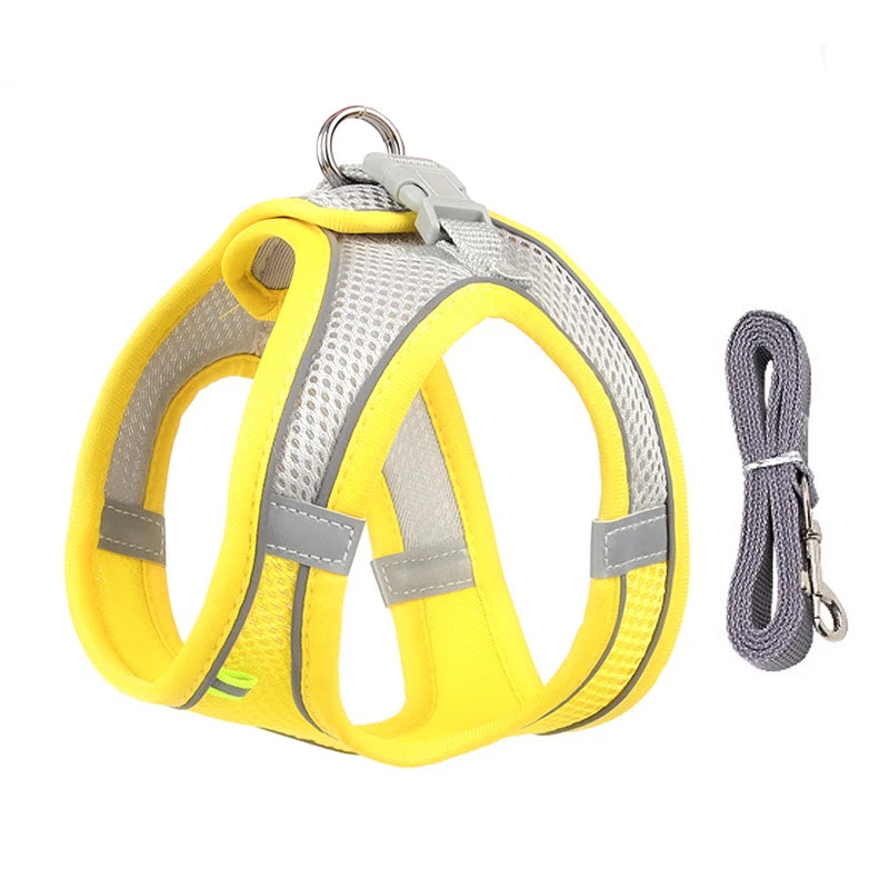 Adjustable Dog & Cat Harness with Leash – Small Breeds