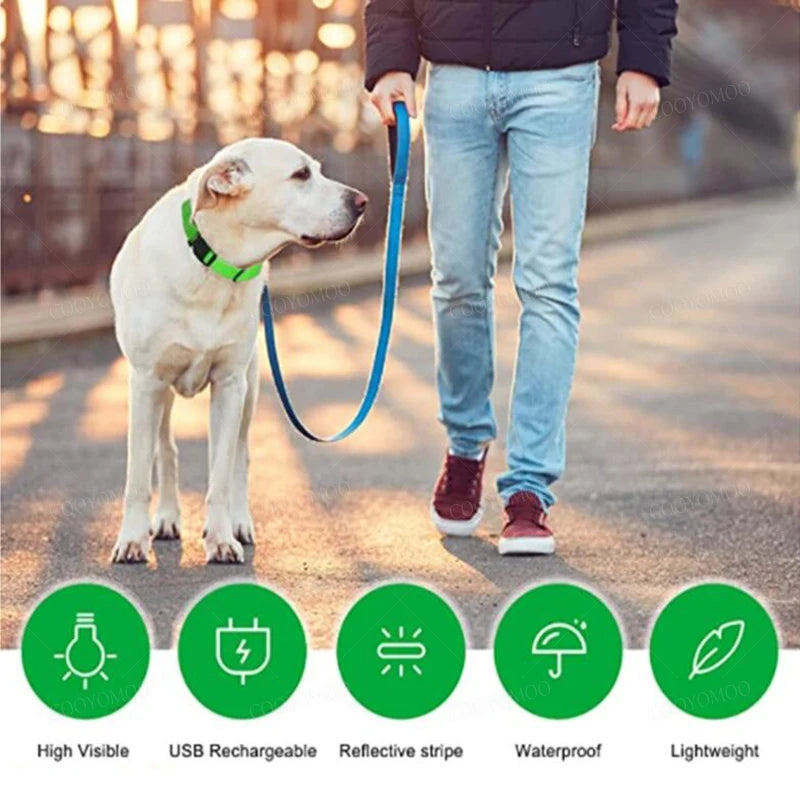 Keep Your Pet Safe at Night – 3-Mode USB LED Glow Collar for Dogs & Cats