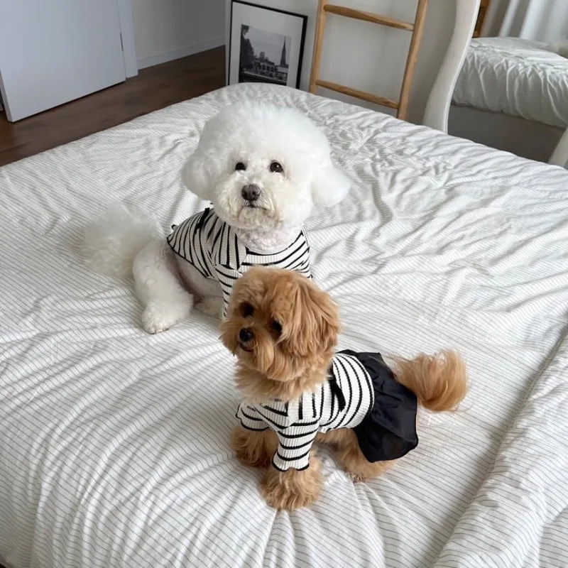 Summer Striped Dog Dress