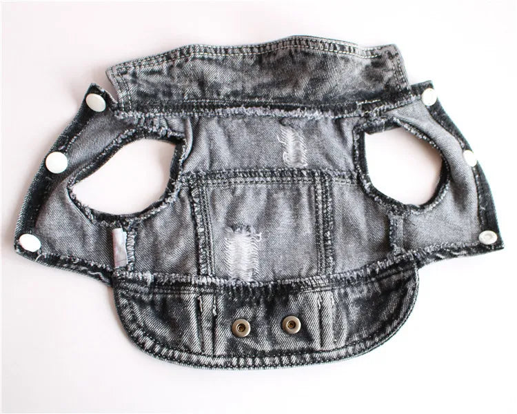 Thin Denim Dog Jacket – Fashionable Coat for Small & Medium Dogs