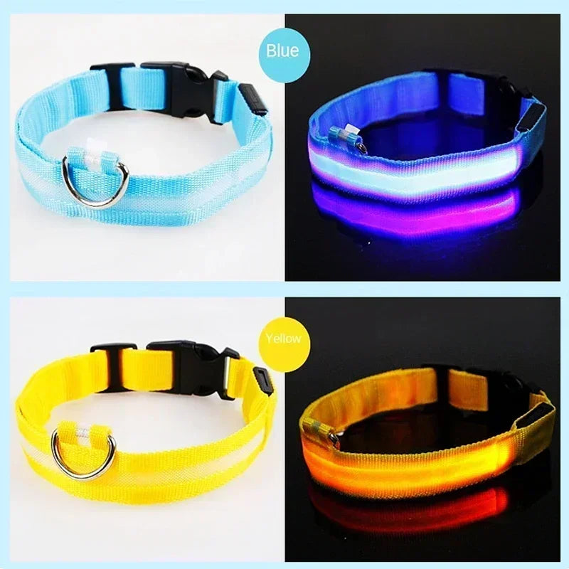 LED Glowing Dog Collar – Adjustable Rechargeable Night Safety Light
