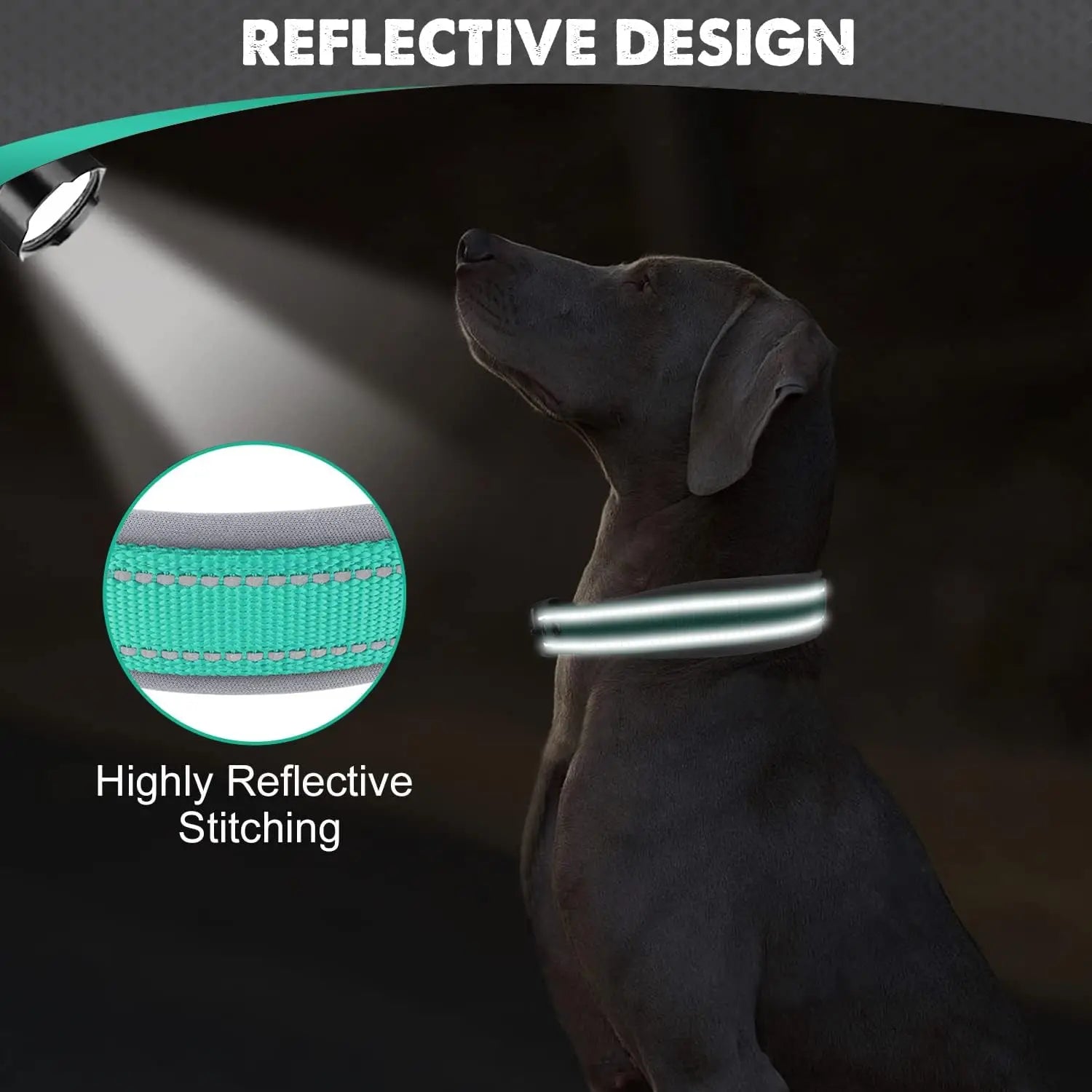 Padded Reflective Dog Collar – Heavy Duty Adjustable
