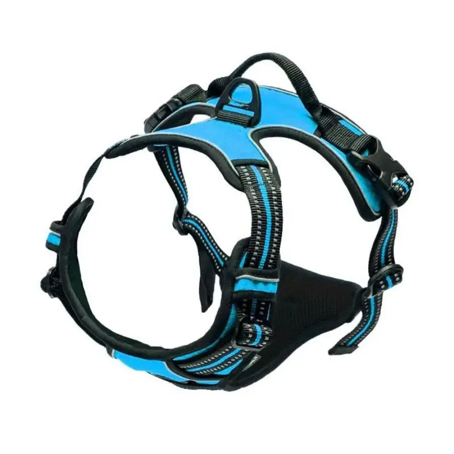 Dog Collar, Harness & Leash Set – Leather Puppy Accessories