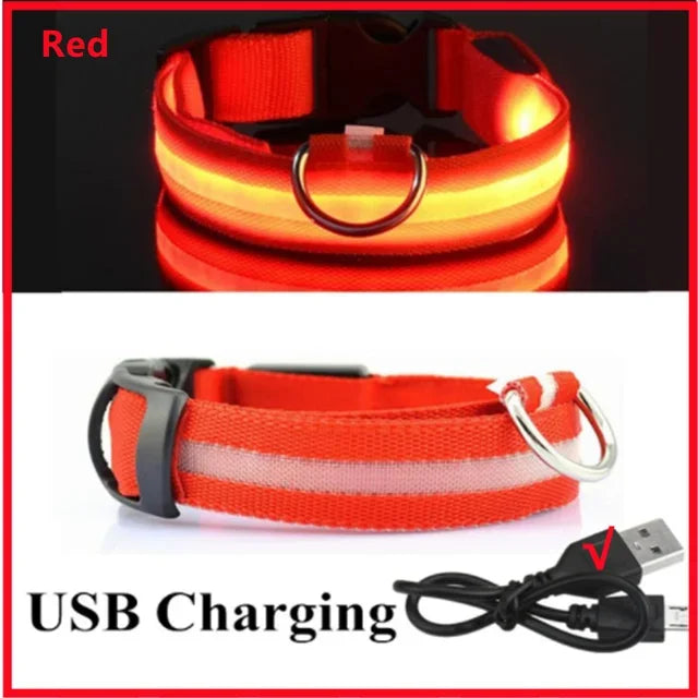 LED Glowing Dog Collar – Adjustable Rechargeable Night Safety Light