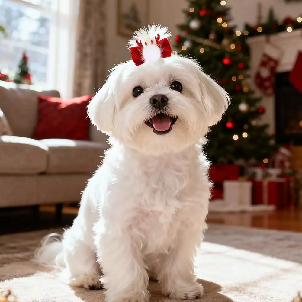 2-Pack Winter Dog & Cat Bows – Red Velvet Antler Hairpins with Metal Clips