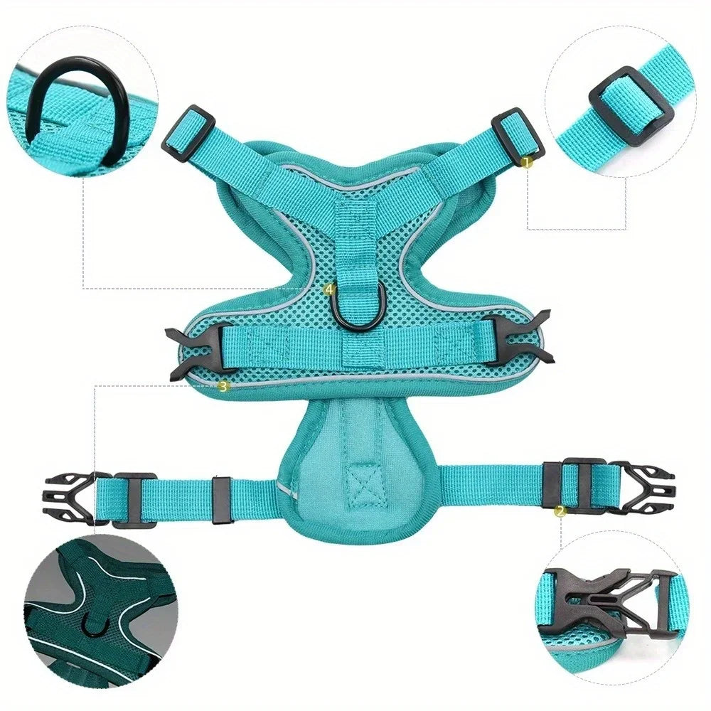 No-Pull Adjustable Dog & Cat Harness with Leash