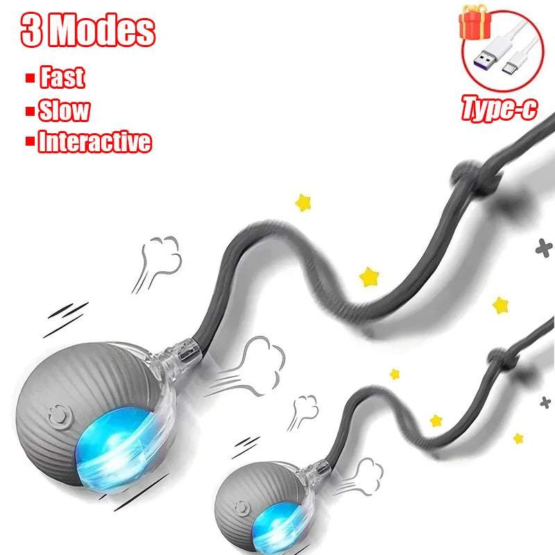 Automatic Rolling Cat & Dog Ball Toy
