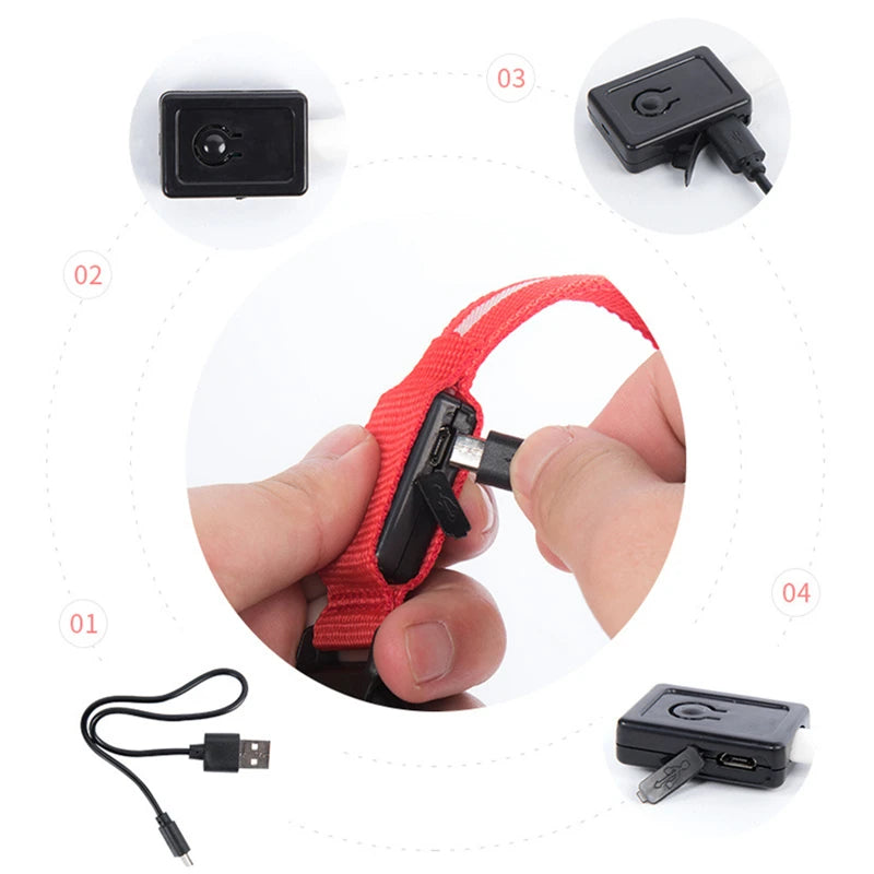 Keep Your Pet Safe at Night – 3-Mode USB LED Glow Collar for Dogs & Cats