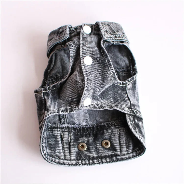 Thin Denim Dog Jacket – Fashionable Coat for Small & Medium Dogs