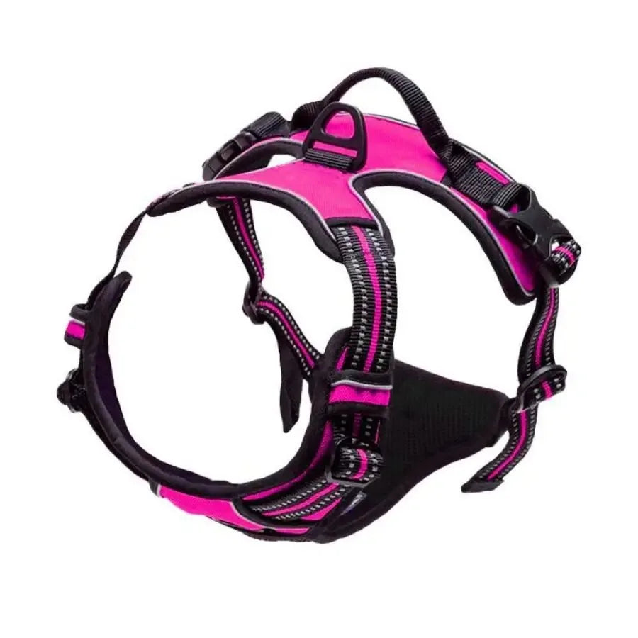 Dog Collar, Harness & Leash Set – Leather Puppy Accessories