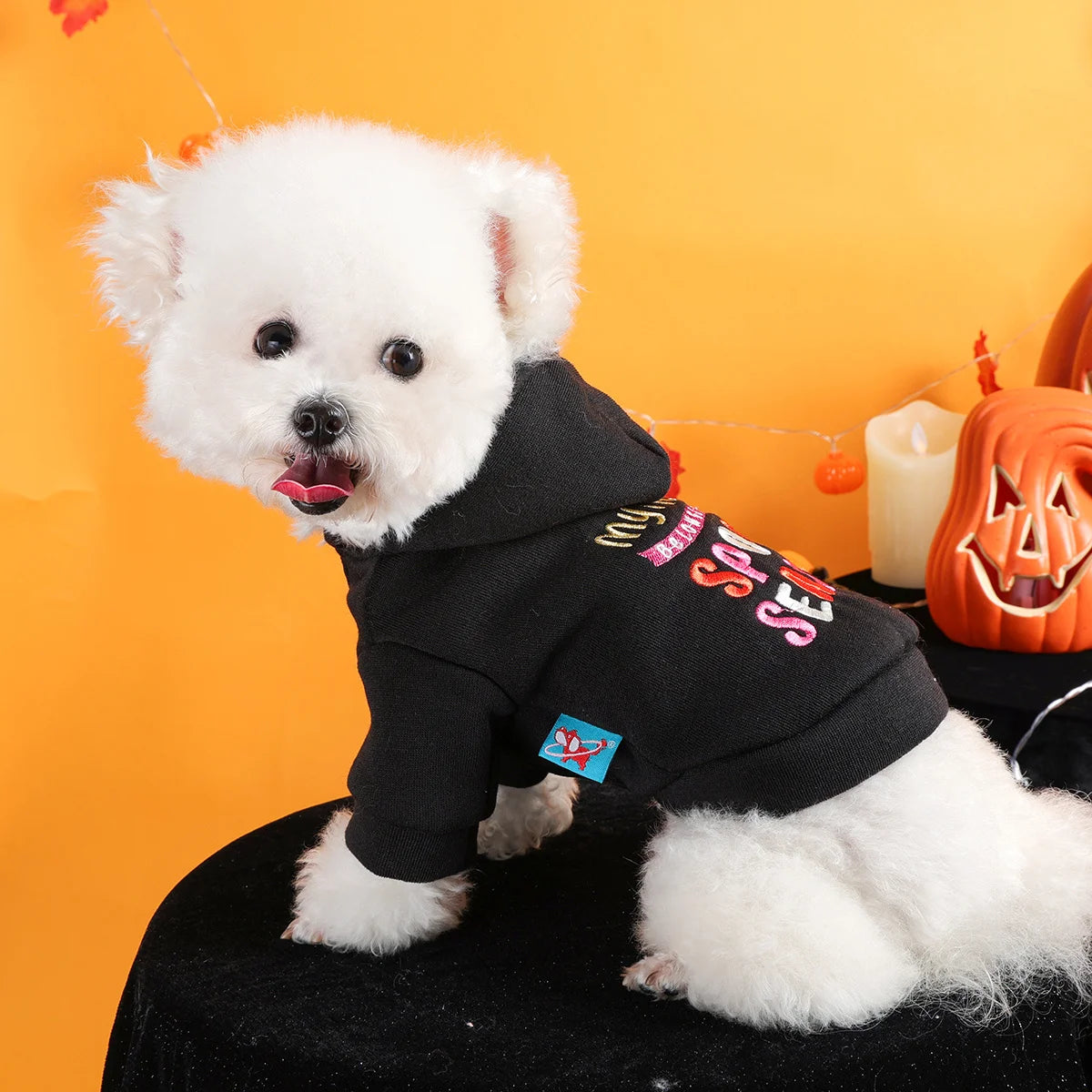 Thriller Season Halloween Pet Hoodie – Black Embroidered Dog & Cat Sweater with Buttons and Leash Hole