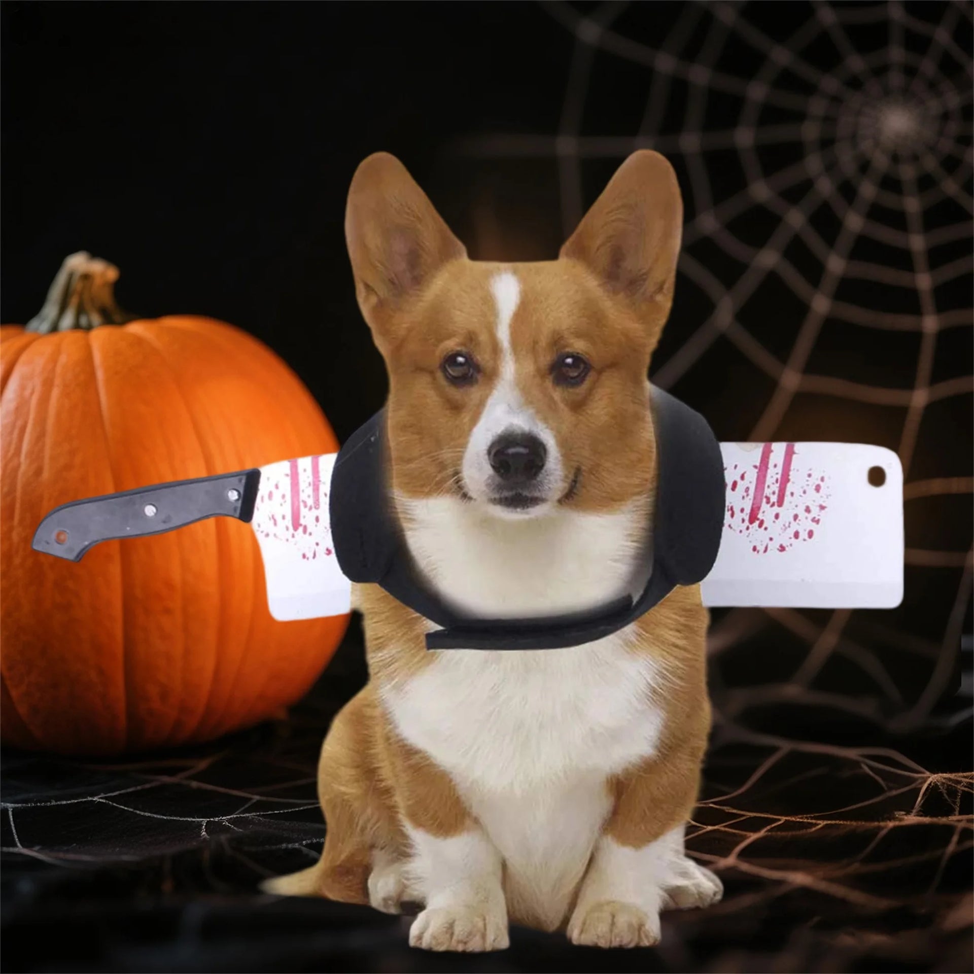 Funny Shark Hat Costume – Halloween Pet Outfit for Small Dogs & Cats