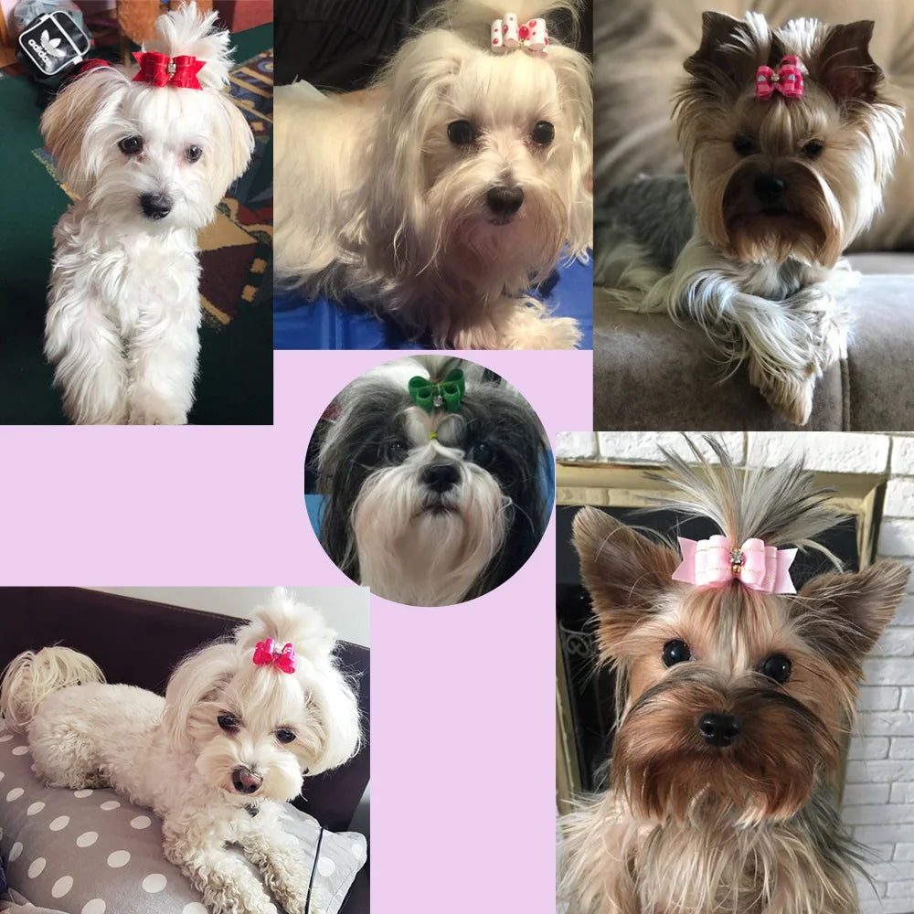 10-Pack Handmade Valentine’s Day Pet Hair Bows – Small Dog & Cat Grooming Accessories