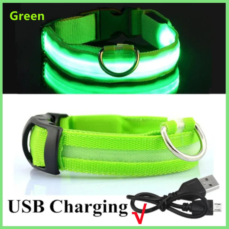 Keep Your Pet Safe at Night – 3-Mode USB LED Glow Collar for Dogs & Cats