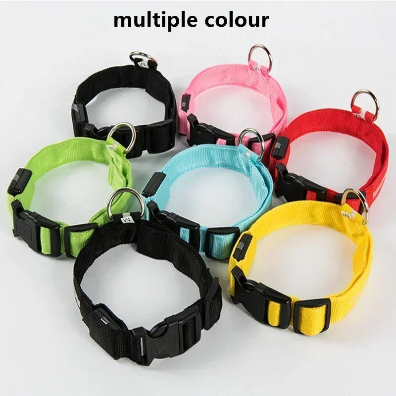 LED Glowing Dog Collar – Adjustable Rechargeable Night Safety Light