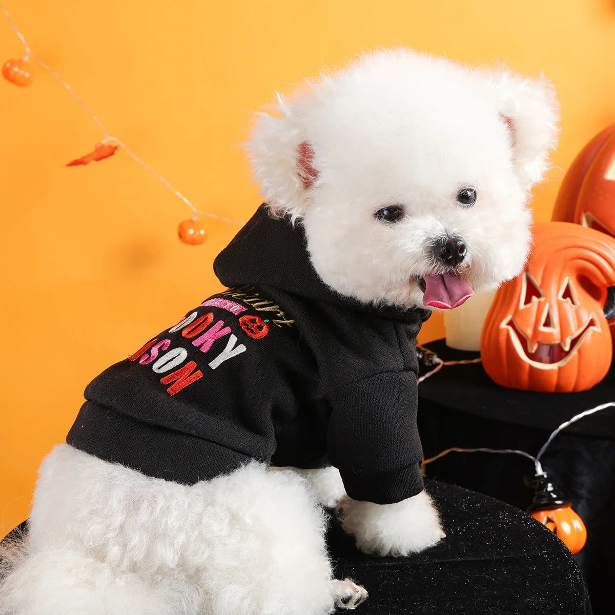 Thriller Season Halloween Pet Hoodie – Black Embroidered Dog & Cat Sweater with Buttons and Leash Hole