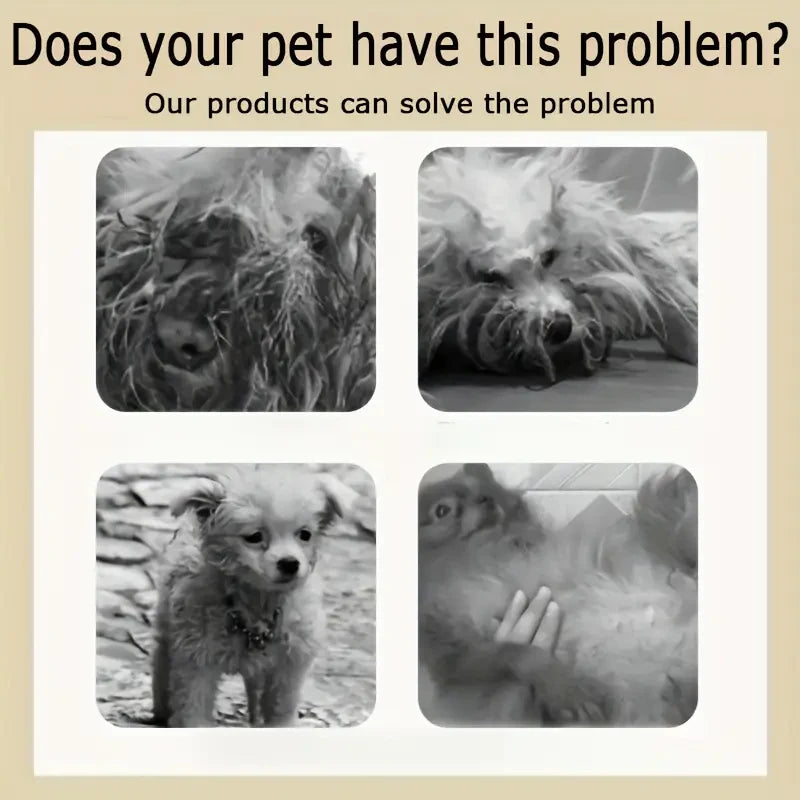 Pet Care Shampoo – Long-Lasting Fragrance Hair Cleanser for Dogs & Cats (250g)