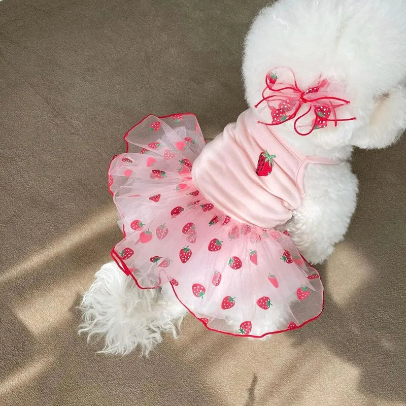 Summer Strawberry Mesh Dress – Dog & Cat Pet Clothing