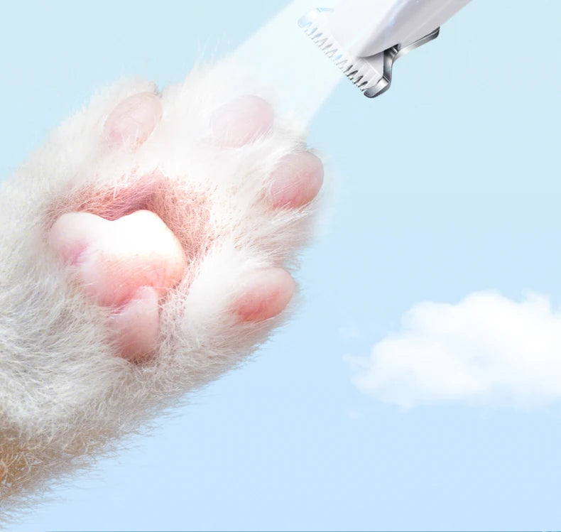 Type-C Dog Paw Trimmer with LED Light – Waterproof Pet Hair Clippers