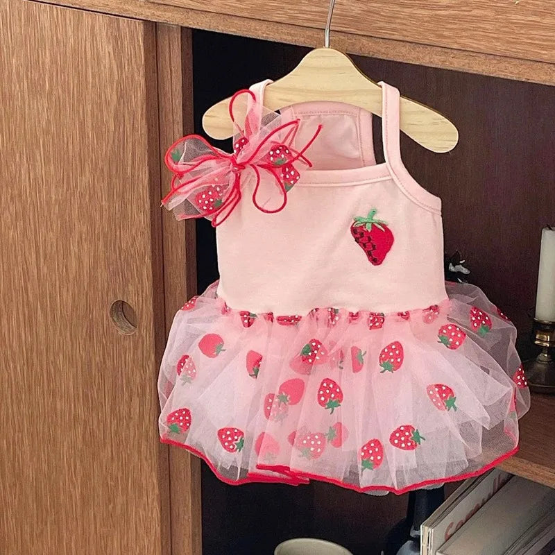 Summer Strawberry Mesh Dress – Dog & Cat Pet Clothing