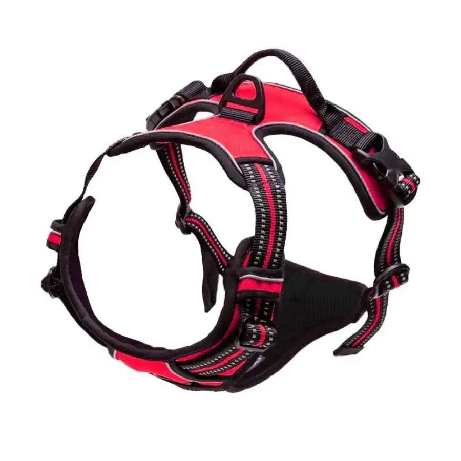Dog Collar, Harness & Leash Set – Leather Puppy Accessories