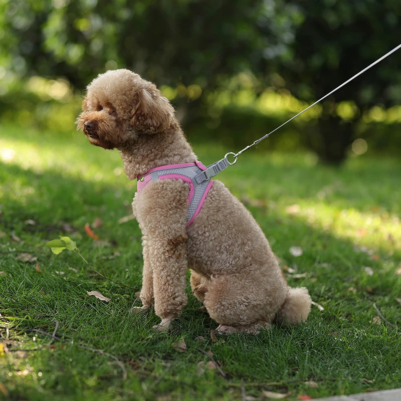 Adjustable Dog & Cat Harness with Leash – Small Breeds