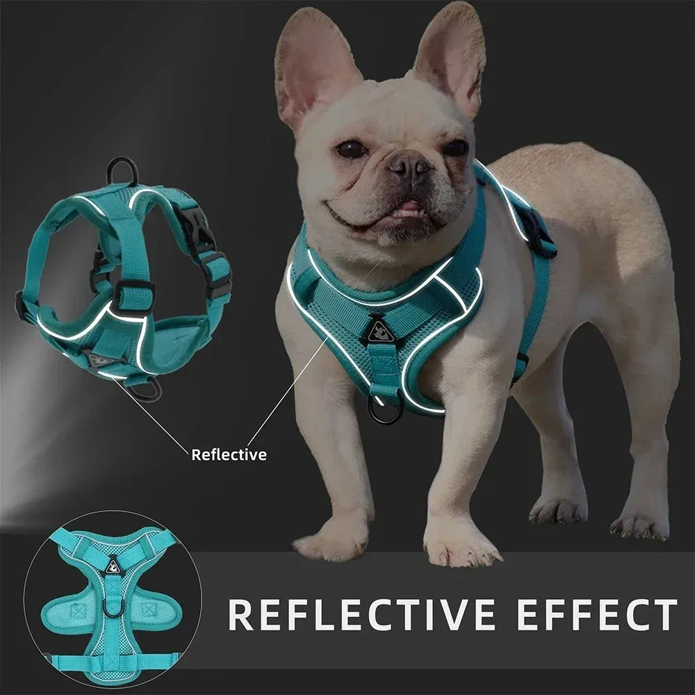 No-Pull Adjustable Dog & Cat Harness with Leash