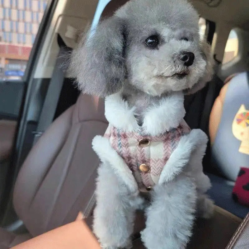 Winter Fur Collar Dog Jacket – Warm Coat for Small & Medium Pets