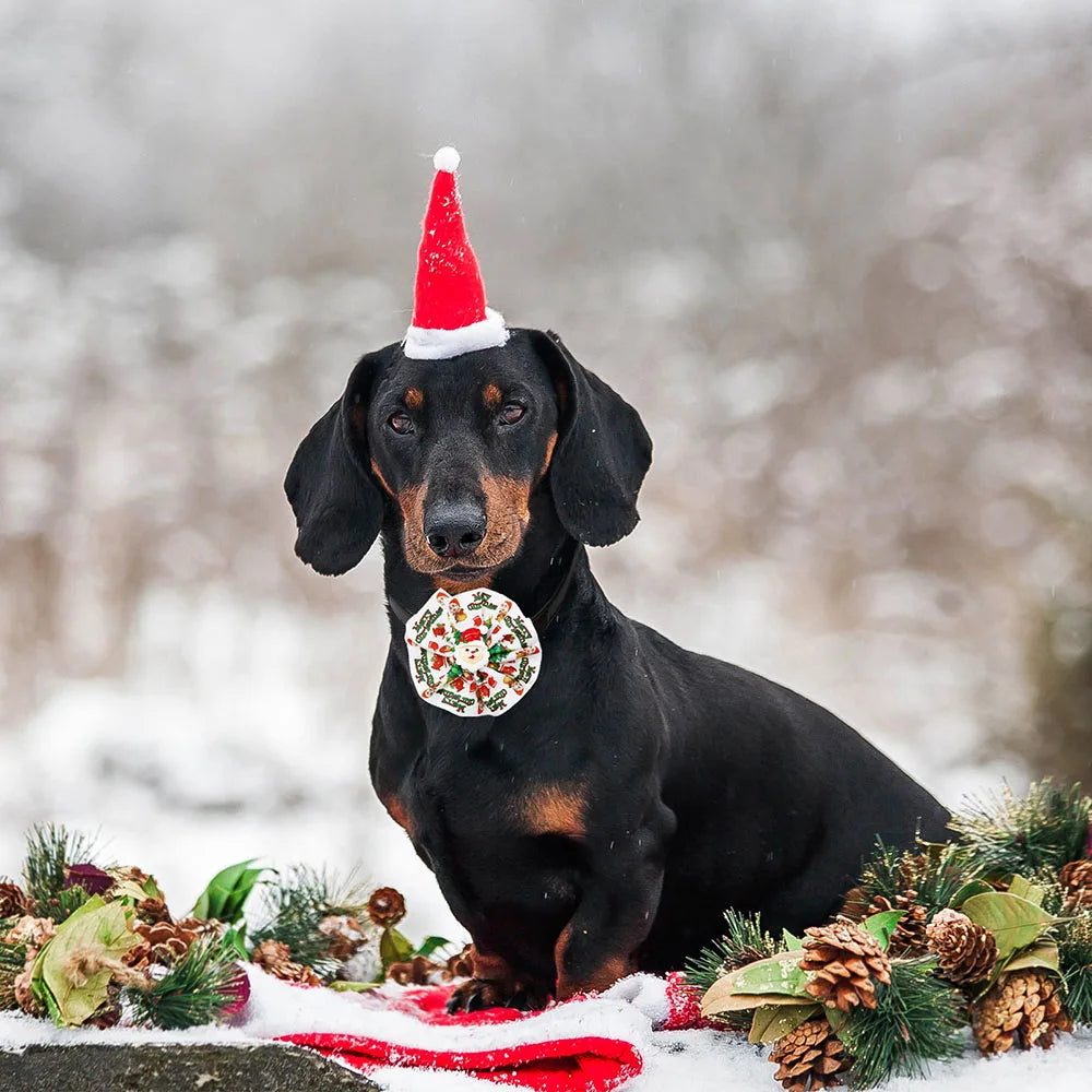 5/10-Pack Christmas Dog Bow Ties – Removable Elastic Grooming Accessories