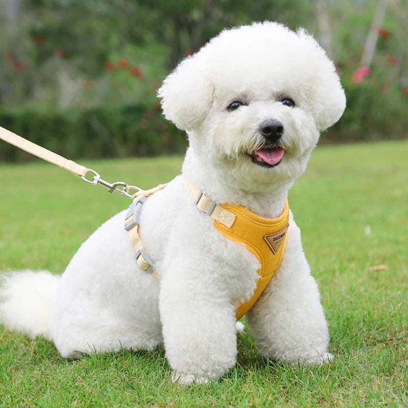 Puppy & Small Dog Harness with Leash – Breathable Vest