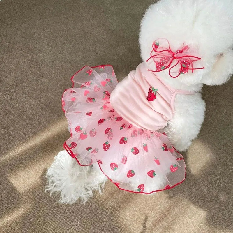 Summer Strawberry Mesh Dress – Dog & Cat Pet Clothing