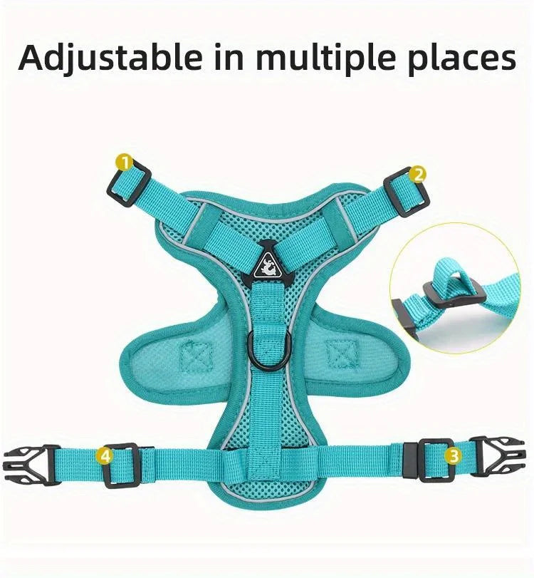 No-Pull Adjustable Dog & Cat Harness with Leash
