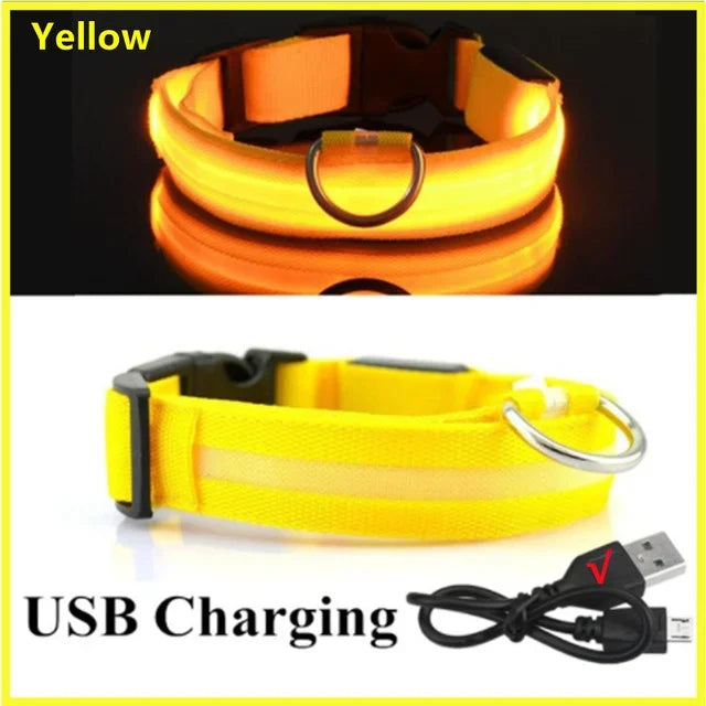 LED Glowing Dog Collar – Adjustable Rechargeable Night Safety Light