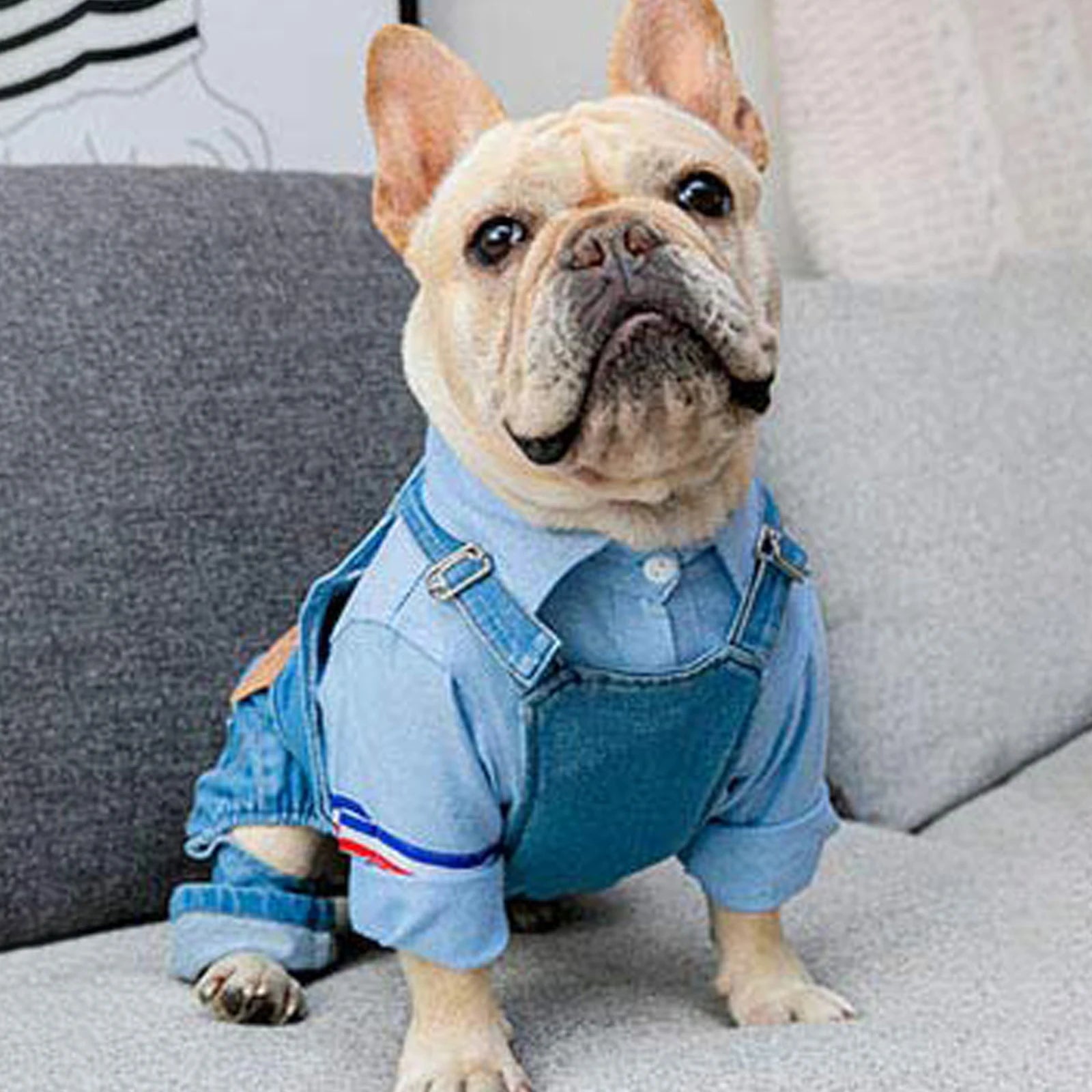 Dog Denim Jumpsuit – Fashion Cotton Outfit for Small & Medium Dogs and Cats