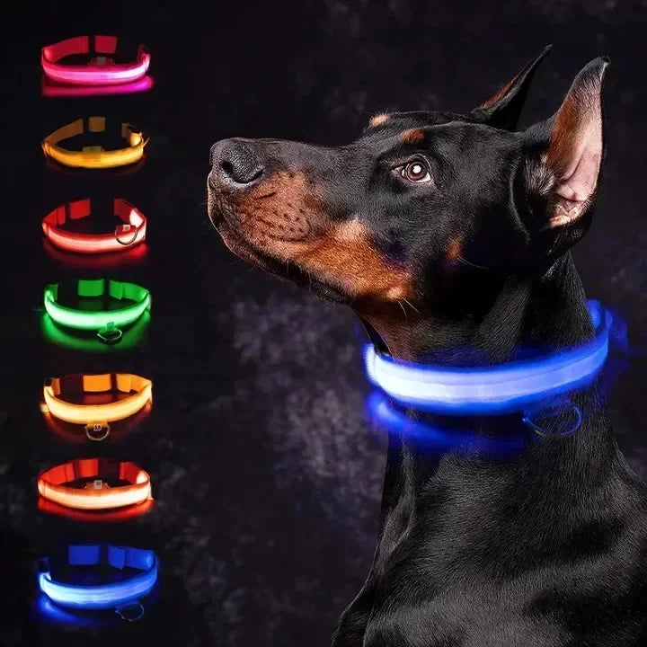 LED Glowing Dog Collar – Adjustable Rechargeable Night Safety Light