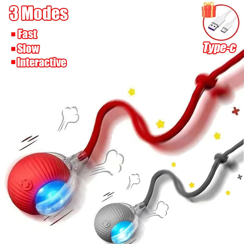 Automatic Rolling Cat & Dog Ball Toy