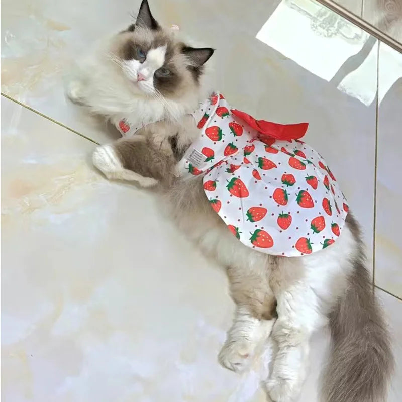 Fashion Cat & Puppy Dress with Bow – Small Dog & Cat Clothing